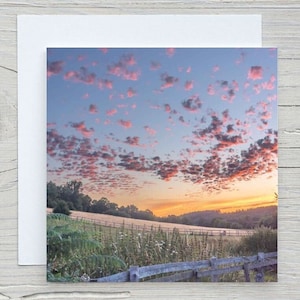 Carte de voeux vierge avec photo New Forest, « Sunset at Frogham », carte de capture de carbone « Sunset at Frogham », Woodland Trust. Impression également disponible.  Image la plus vendue !