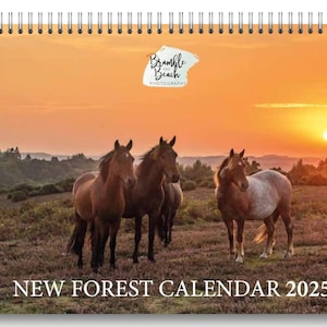 Calendario New Forest 2025 ORA SCONTATO! Spedizione gratuita, donazione di beneficenza Carta catturata del carbonio