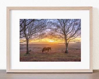 May include: A brown horse walks through a field of tall grass with two bare trees in the background. The sun is setting behind the trees, creating a warm glow in the sky.