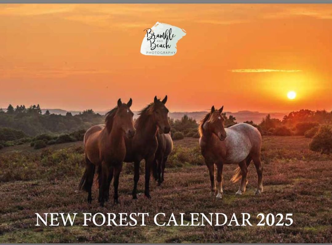 NEW FOREST CALENDAR 2025 Desk Calendar intro Price Ten Pounds Images by
