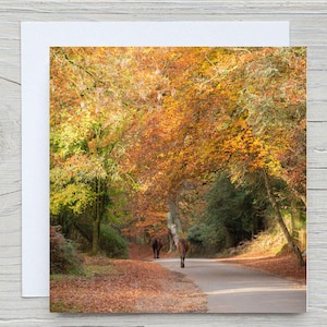"New Forest Square Grußkarte, ""New Forest Ponys bei Woodgreen"" auf Kohlefaser-Karte mit dem Woodland Trust." Druck auch möglich.
