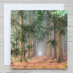 The New Forest, blanco fotogroetkaart, 'Magische boomlaan' op met carbon vastgelegde kaart met de Woodland Trust. Bedrukking ook beschikbaar.