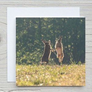 The New Forest blanko Grußkarte Boxen Hasen Hampshire, Kohlensäure geschützt Woodland Trust. Bestseller, auch als Leinwand und Print