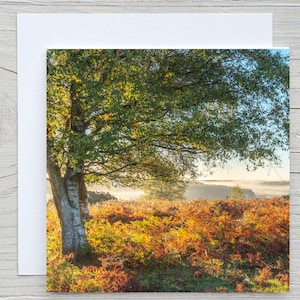 Carte de voeux New Forest Square, « L'automne à Godshill New Forest » sur carte de capture de carbone avec le Woodland Trust. Impression également disponible.