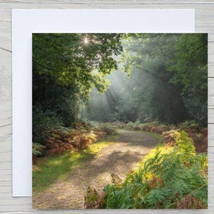 New Forest-fotowenskaart, 'Autumn Godshill Wood'. Kaart met koolstofopname, Woodland Trust. Blanco met envelop. Verkrijgbaar als canvas