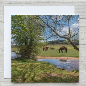 New Forest Grußkarte, 'Summer at Latchmore Brook', 'Summer at Latchmore Brook'. Gedruckt in Hampshire auf CO2-gehaltener Karte mit Woodland Trust.