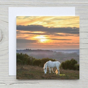De blanco New Forest-wenskaart, 'Sunset pony, Ashley Walk' carbon capture-kaart, Woodland Trust. Afdrukken beschikbaar. Bestverkochte kaart!