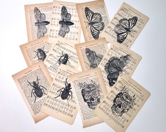 Vintage Curio Specimens, Stamped Art On Vintage Pages
