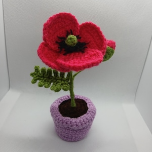 May include: A crocheted poppy flower with bright red petals, a dark center, and a green stem with textured leaves. The flower is planted in a small, light purple crocheted pot filled with dark brown yarn representing soil.