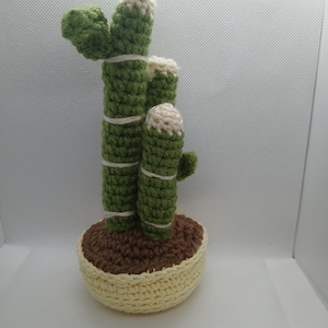 May include: A handmade crochet cactus in a cream-colored pot. The cactus is green with white tips and wrapped with white yarn. The pot is filled with brown yarn, and the base is cream-colored.