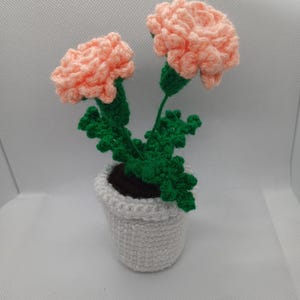 May include: A crocheted flower arrangement featuring two peach-colored carnations with green stems and leaves, planted in a white crocheted pot. The pot is filled with brown material, possibly representing soil. The flowers are the focal point.