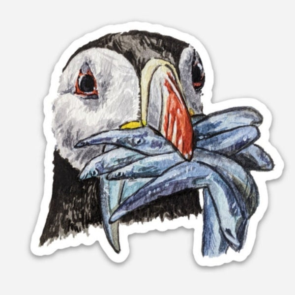 Puffin Sticker — Original Watercolor Vinyl Sticker 3"