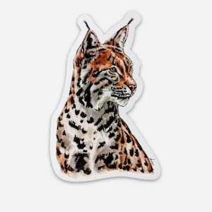 Lynx Sticker — Original Watercolor Vinyl Sticker 3"