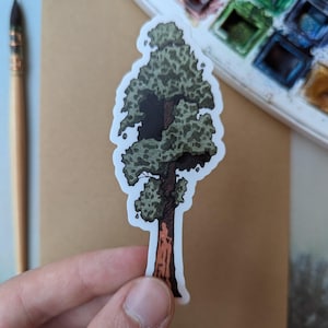 Redwood Tree — Original Watercolor Vinyl Sticker