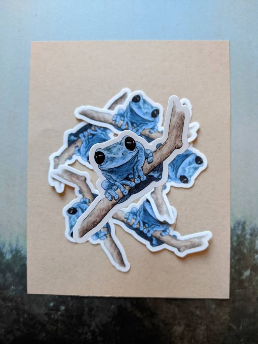 Frog Sticker — Original Watercolor Vinyl Sticker - Etsy