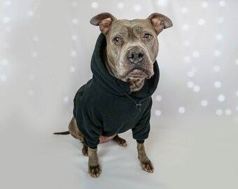 pitbull hoodies for pitbulls