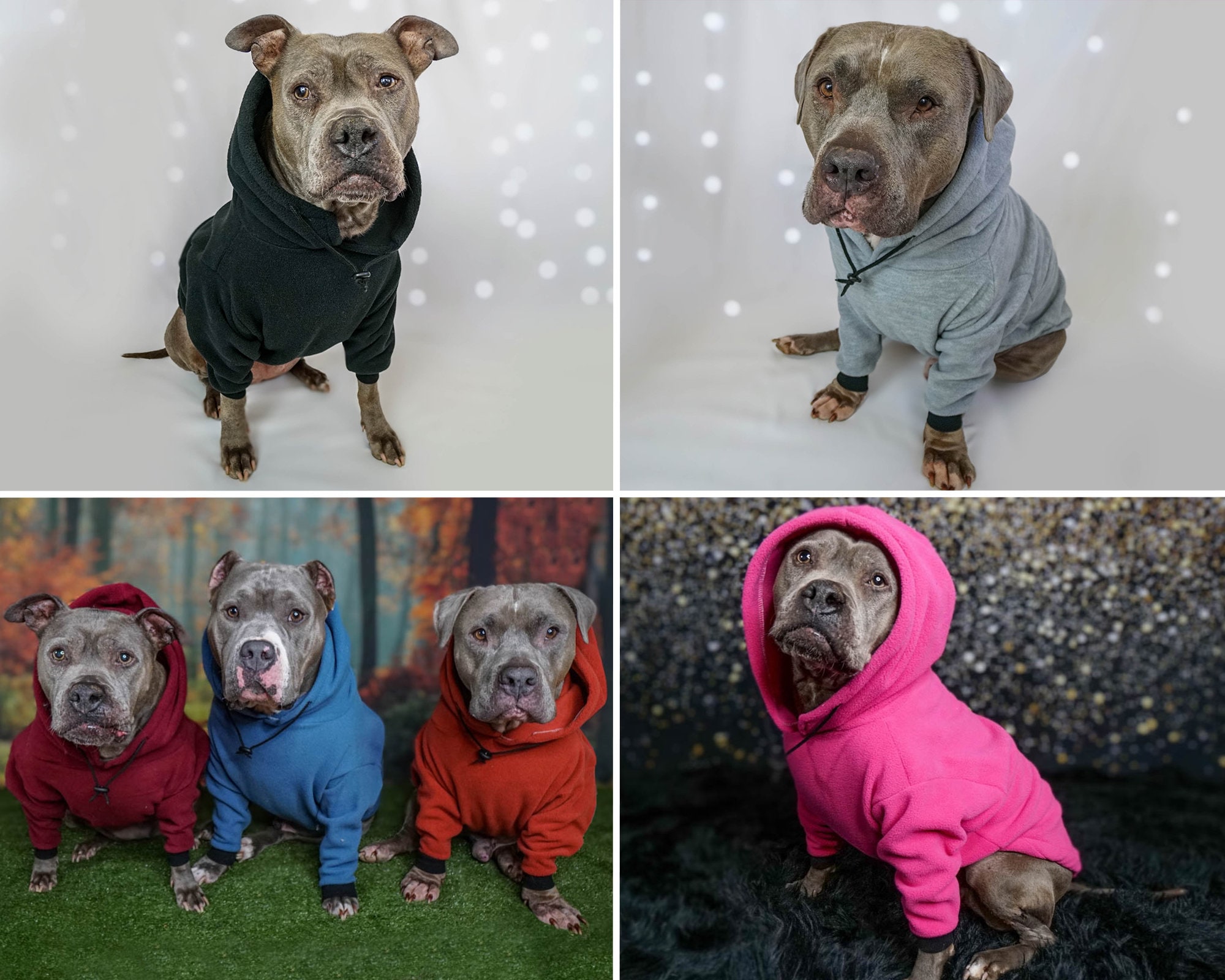 Hoodie handmade Pitbull Sweatshirt Hoodie Pitbull Etsy