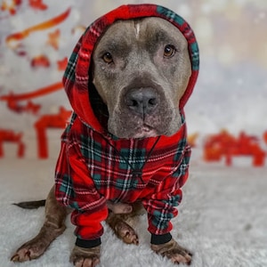Pitbull Hoodie (rot kariert) | Pitbull Sweatshirt | Pitbull Pullover, Pitbull Shirt, Hund Hoodie, Hunde Sweatshirt
