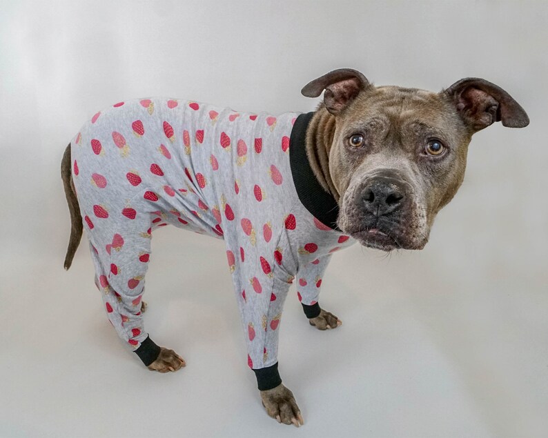 Pitbull Pajamas Dog Pajamas Made To Measure Custom Fit Etsy