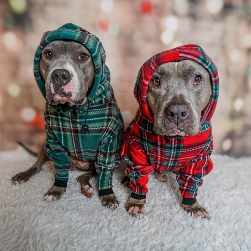 Pitbull Jumper Etsy UK
