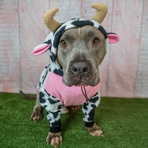 Pitbull Cow Hoodie|Pitbull Sweatshirt Hoodie| Pitbull Costume, Pitbull Sweater, Pitbull Shirt, Dog Costume, Dog Sweatshirt