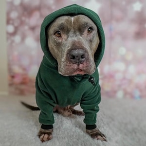 Pitbull apparel outlet