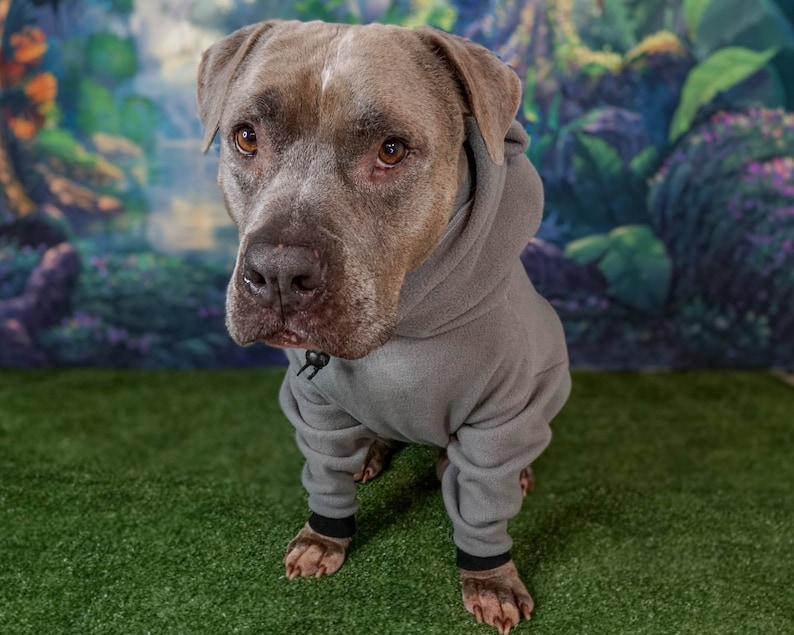 Pitbull Hippo Costume custom Pitbull Sweatshirt Hoodie Etsy Canada