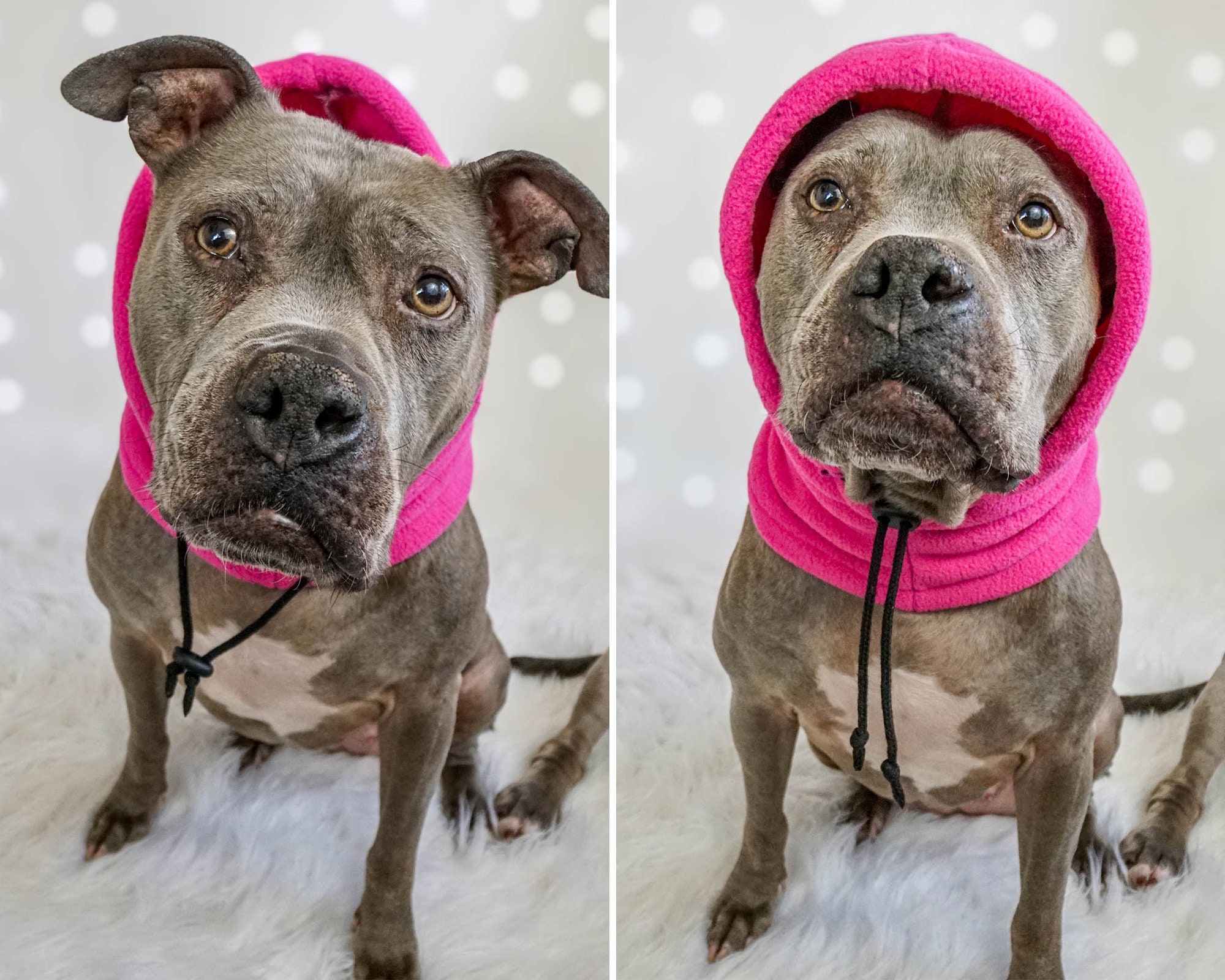 Pitbull Hat Pitbull Snood Pitbull Scarf Pitbull Hoodie Hat Etsy