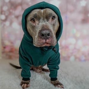 Grön Pitbull-huvtröja | Handgjord fleecehundtröja för mobbningsraser | Stor hundhuvtröja med dragsko och öronskydd