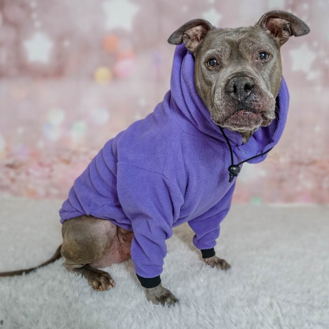 Pitbull Hoodie handmade Pitbull Sweatshirt Hoodie Pitbull 