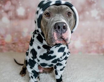 sweaters for pitbulls