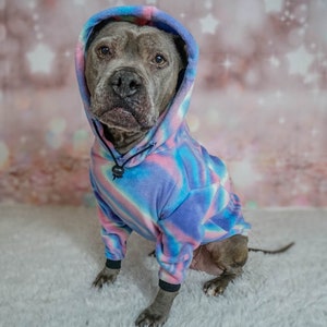 Pitbull Hoodie (Rainbow) |Handmade Pitbull Sweatshirt Hoodie| Pitbull Sweater, Pitbull Shirt, Pitbull T-shirt, Dog Hoodie, Dog Sweatshirt