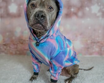 pitbull sweater
