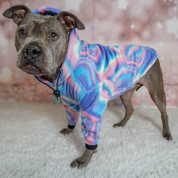 Pitbull in a hoodie hotsell