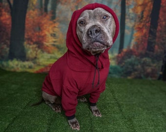 Pitbull Hoodie (Red) |Handmade Pitbull Sweatshirt Hoodie| Pitbull Sweater, Pitbull Shirt, Pitbull T-shirt, Dog Hoodie, Dog Sweatshirt