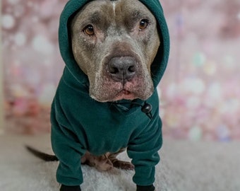 pitbull dog sweatshirts