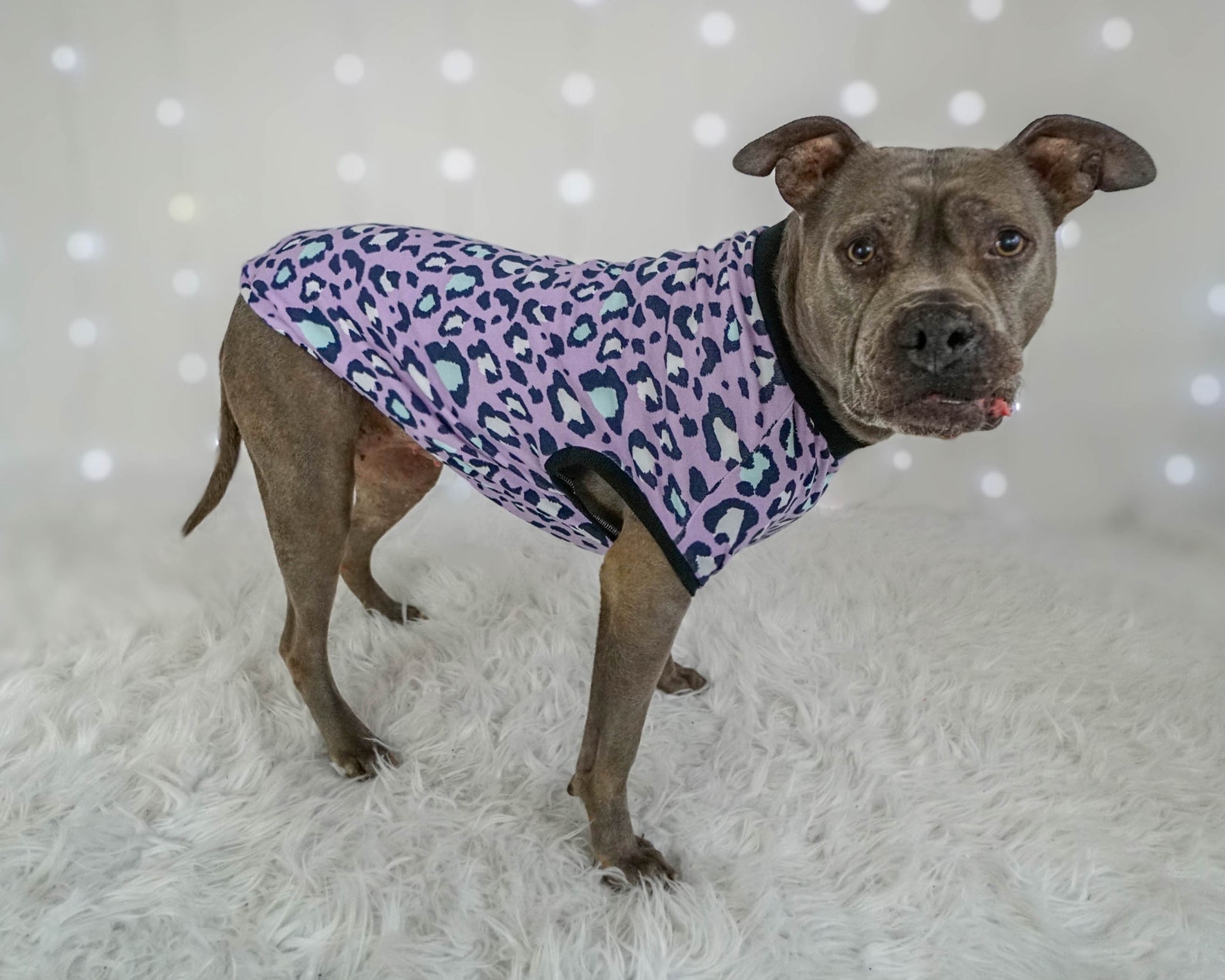 Pitbull Tank Top Leopard Dog Clothes Made To Measure Etsy
