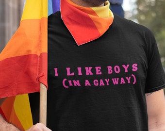 I Like Boys Gay Pride Shirt Queer Shirt Pride Apparel Nonbinary Shirt Equality Shirt Pride Outfit Activism Shirt Protest Shirt Gay Rights