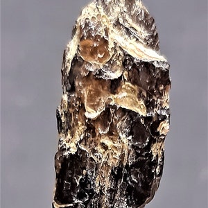 May include: A rough, elongated mineral specimen with a layered appearance. The stone features a mix of dark brown, tan, and off-white colors, with a textured, crystalline surface. The base is a white, textured material.