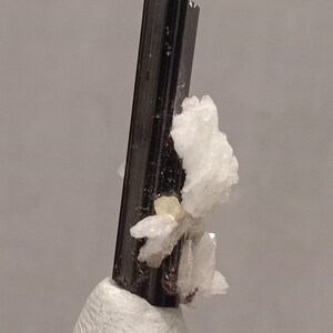Puede incluir: Un cristal de turmalina negra con estructura columnar, acentuado por grupos de formaciones minerales blancas y amarillas. El cristal está montado sobre una base blanca, sobre un fondo neutro. Es un espécimen mineral natural.