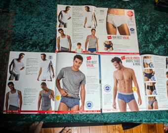 Hanes men in briefs photos mail order catalogs from the 2000s