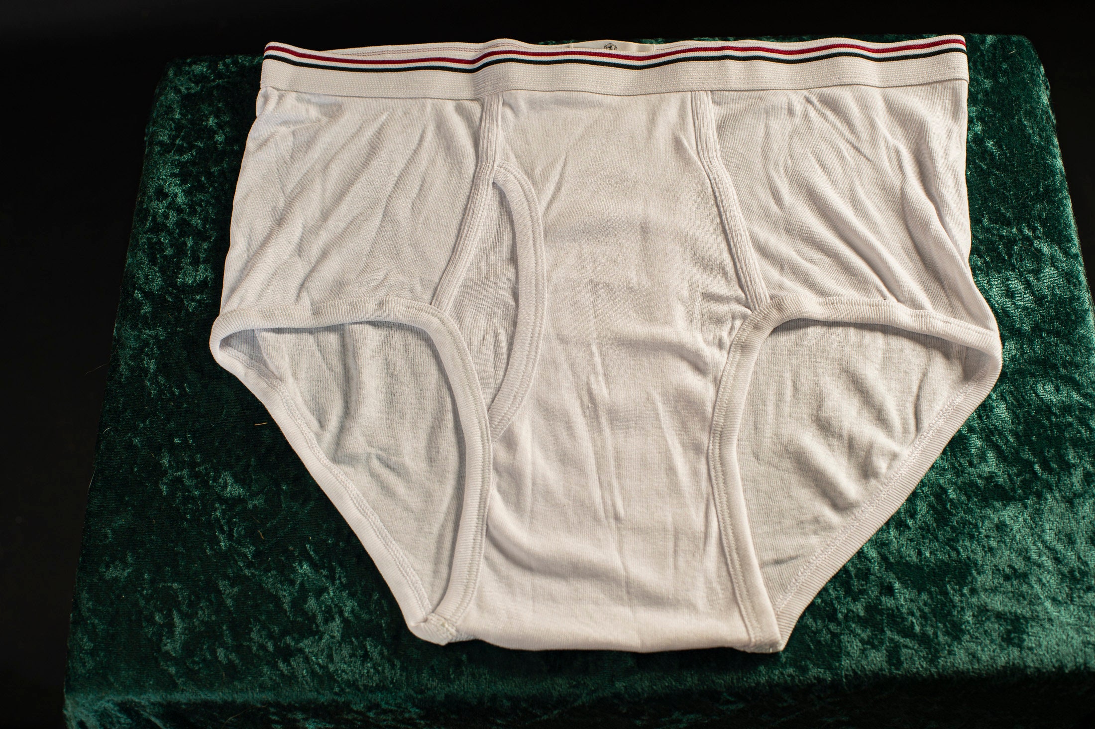 1 Covington Vintage Men's White Brief Full Cut L 3638 Etsy