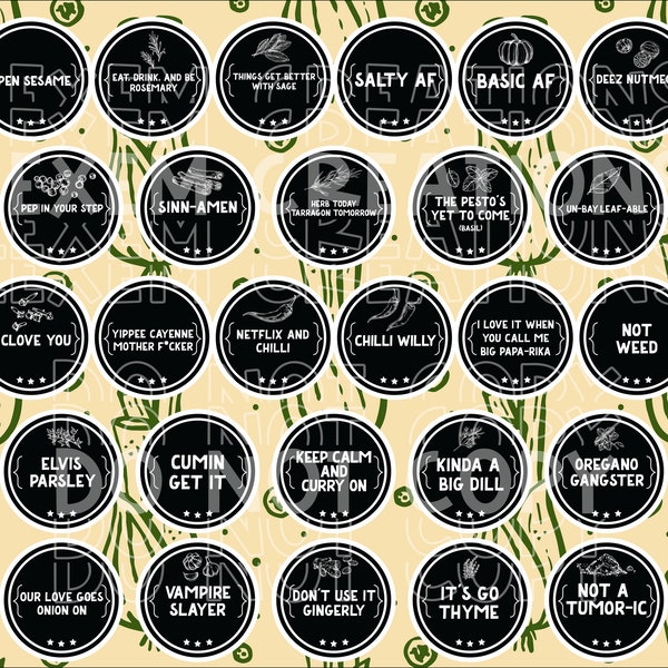 27 Funny Custom Spice Label Jar Stickers / Turmeric / Parsley / Garlic / Herb / Herb Stickers / Sticker Set / Nutmeg / Salty AF / Oregano