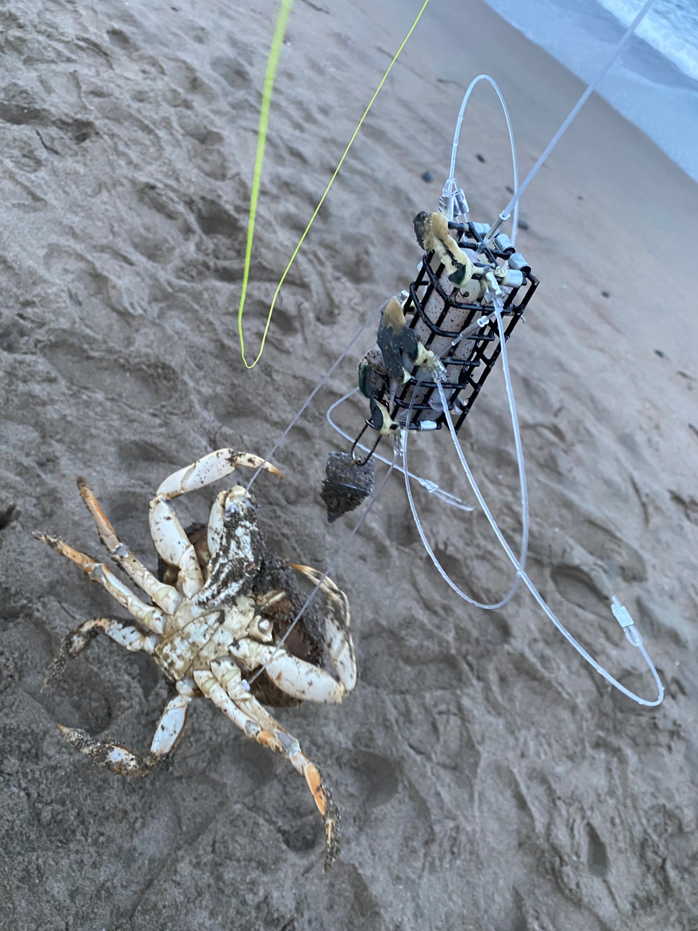 Hand-made Crab Snares 