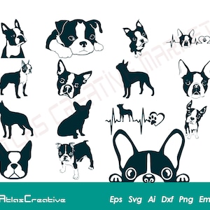 Boston Terrier Svg (15) Bundle, American dog silhouette files cricut, puppy clipart, Instant Download, Png, Dxf, Psd, Emf, Eps, Ai and Svg
