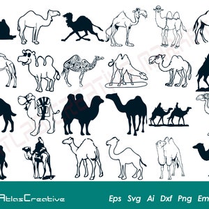 Camel SVG (24) Bundle, Desert Animal Svg, Camel Silhouette, Wild Animal Svg, Black Camel Vector, Cricut, Png, Dxf, Psd, Emf, Eps, Ai e Svg