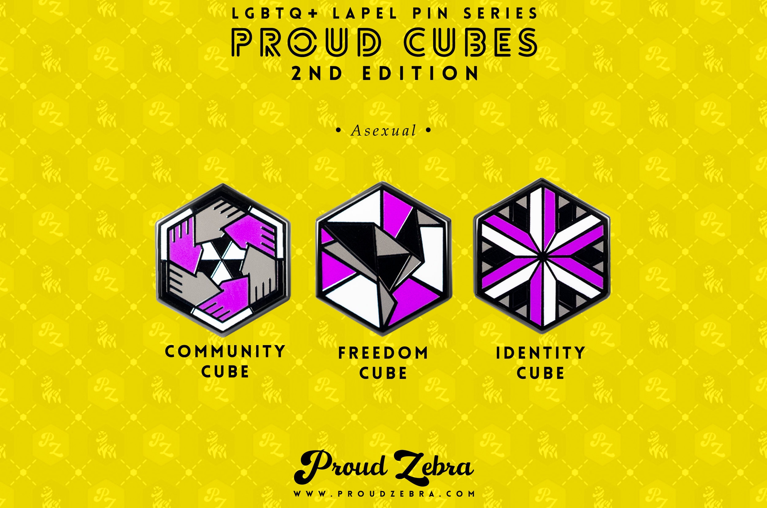Freedom Pin Asexual Pride Freedom Enamel Pin – Black Nickel Cloisonne Geometric ...