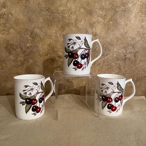 Vintage Set of Three Bone China Mugs with Cherry Botanical Design by Jason Made in England