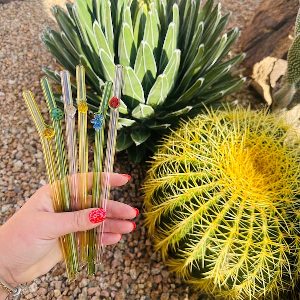 Drinking Glass Straws - Fruit Add On