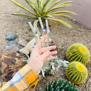 May include: A set of five glass drinking straws with colorful glass beads at the top. The straws are held in a hand against a background of plants and rocks.